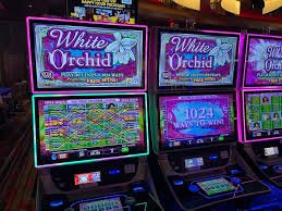 slot btv168 live-dealer blackjack table